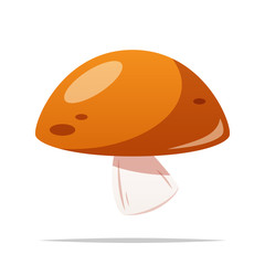 Mushroom vector isolated illustration