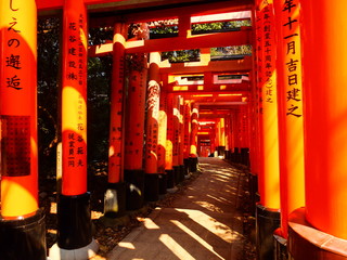 Inari corridor in the morning