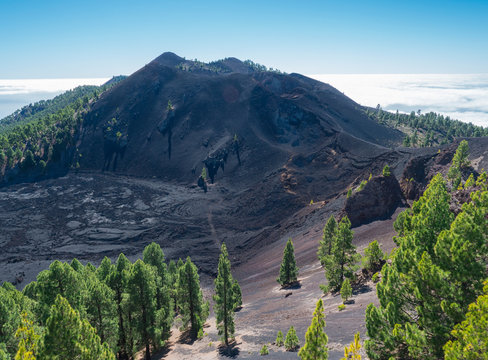 Volcanic landscape with lush green pine trees, colorful volcanoes and lava crater Deseada along path Ruta de los Volcanes, hiking trail at La Palma island, Canary Islands, Spain, Blue sky background