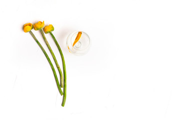 Floral arrangement with yellow water lilies and a goldfish in a glass. Colorful flowers with long green stems on a white background.