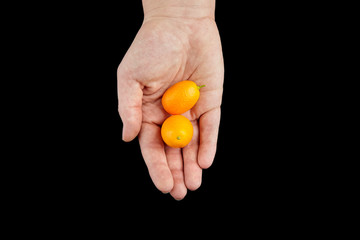Kumquat , small oval citrus fruits, nagami variety