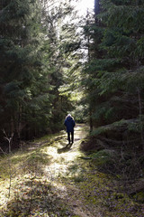 Obraz premium Man walks deep in the forest