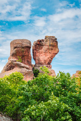 Bizarre rock formations, blue sky with white clouds in the background, tree with fresh green leaves...