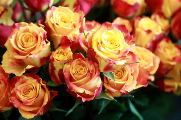 Bouquet de roses orangées