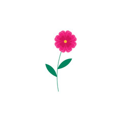 This is cute flower on white background.