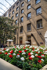 Fototapeta na wymiar Flowerbed of white and red carnation flowers, Devonshire Square SQ, City of London, UK
