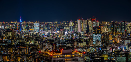 Fototapeta na wymiar Night view of Tokyo Japan ~ 池袋から見た東京の夜景 ~