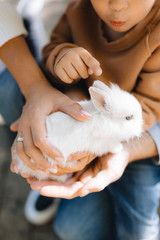 family take care of a baby rabbit © Iryna
