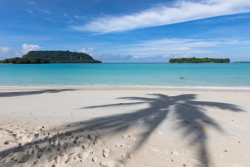 Fototapeta na wymiar Port orly paradise beach Vanuatu palm shade