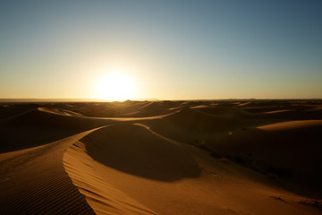 Fototapeta na wymiar Desert dunes in the morning