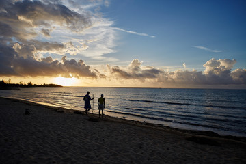 Bay of pigs in the morning