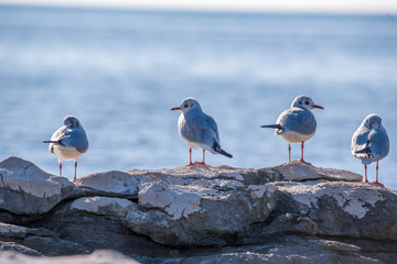 Bay Of Water By Sudjuradj