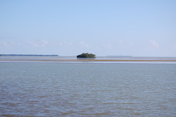 Bonitas vistas en los Everglades