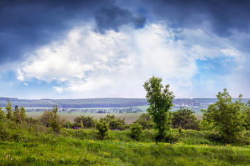 Fototapeta na wymiar Summer landscape with trees, forest in the distance and dramatic sky before a thunderstorm_