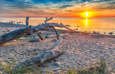 Coastal landscape, wild beach of the Baltic Sea at colorful sunset