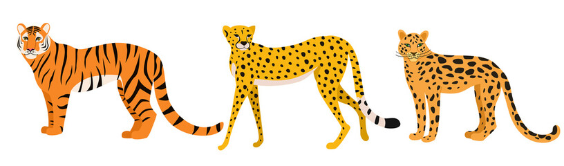 Set of wild cats: tiger, cheetah, leopard. Vector illustration isolated on white background.