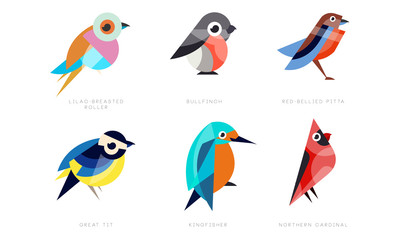 Colorful Stylized Birds Collection, Lilac Breasted Roller, Bullfinch, Red Bellied Pitta, Great Tit, Kingfisher, Northern Cardinal Vector Illustration on White Background