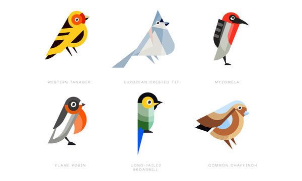 Colorful Stylized Birds Collection, Western Tanager, European Crested Tit, Myzomela, Flame Robin, Long Tailed Broadbill, Common Chaffinch Vector Illustration