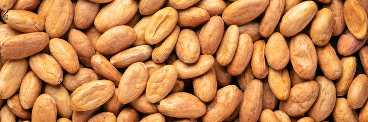 raw cacao beans background