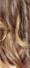 Naklejka premium Close up Pictures of golden blonde hair