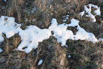  last snow on beautiful field grass