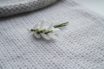 FIRST SNOWDROWS  AND KNITTED BACKGROUND