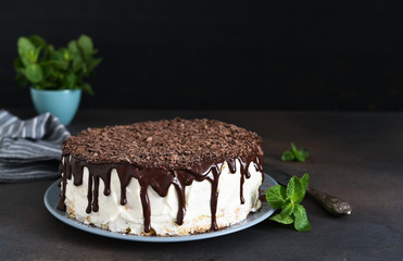Vanilla cake with chocolate icing, chocolate chips and mint on a dark background.