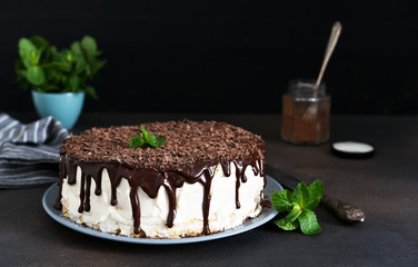 Vanilla cake with chocolate icing, chocolate chips and mint on a dark background.