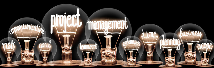 Light Bulbs with Project Management Concept