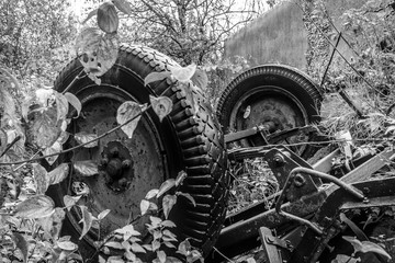 Lost Place alte Gärtnerei 