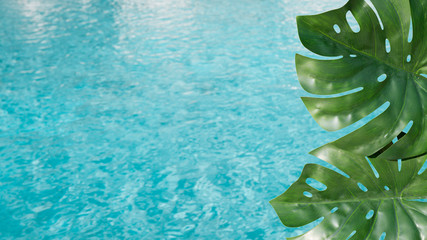 Fototapeta na wymiar tropical leaves with pool background