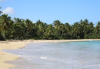 Traumstrand in der Karibik