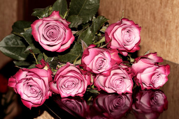 Roses reflected on the surface. Mirroring colors.