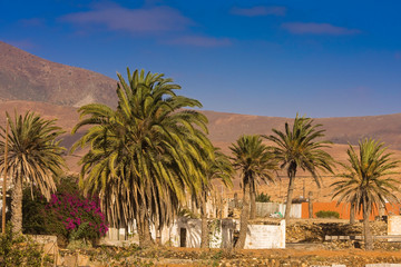 Fototapeta na wymiar Small Finca in a Mountain landscape with a palm grove near Tuineje, Fuerteventura, Canary Islands, Spain, Europe