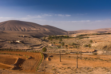 Mountain landscape with a palm grove near Tuineje, Fuerteventura, Canary Islands, Spain, Europe