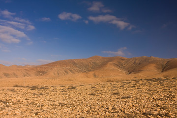 Fototapeta na wymiar Mountain landscape with a palm grove near Tuineje, Fuerteventura, Canary Islands, Spain, Europe