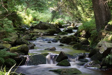 Bodewasserfälle Bachlauf mit kleinen Wasserfällen im Nationalpark Harz