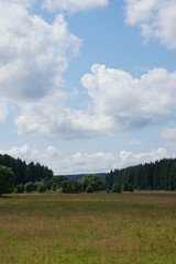 Obraz premium grüne Berglandschaft in den Alpen Ötztal