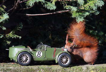 Fototapete bei efototapeten.de bestellen   