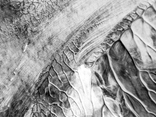 The black white acrylic painting texture background