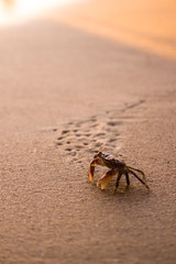 Beach, Los Angeles, CA