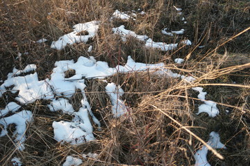  last snow on beautiful field grass