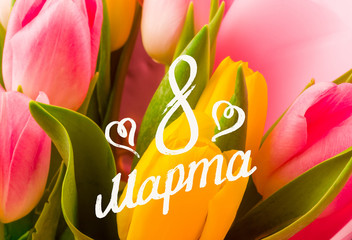 Holiday card - a bouquet of fresh spring pink and yellow tulips, holiday greetings, handwritten...