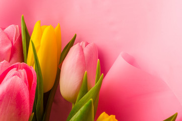 Background for a greeting card - a bouquet of fresh pink and yellow tulips