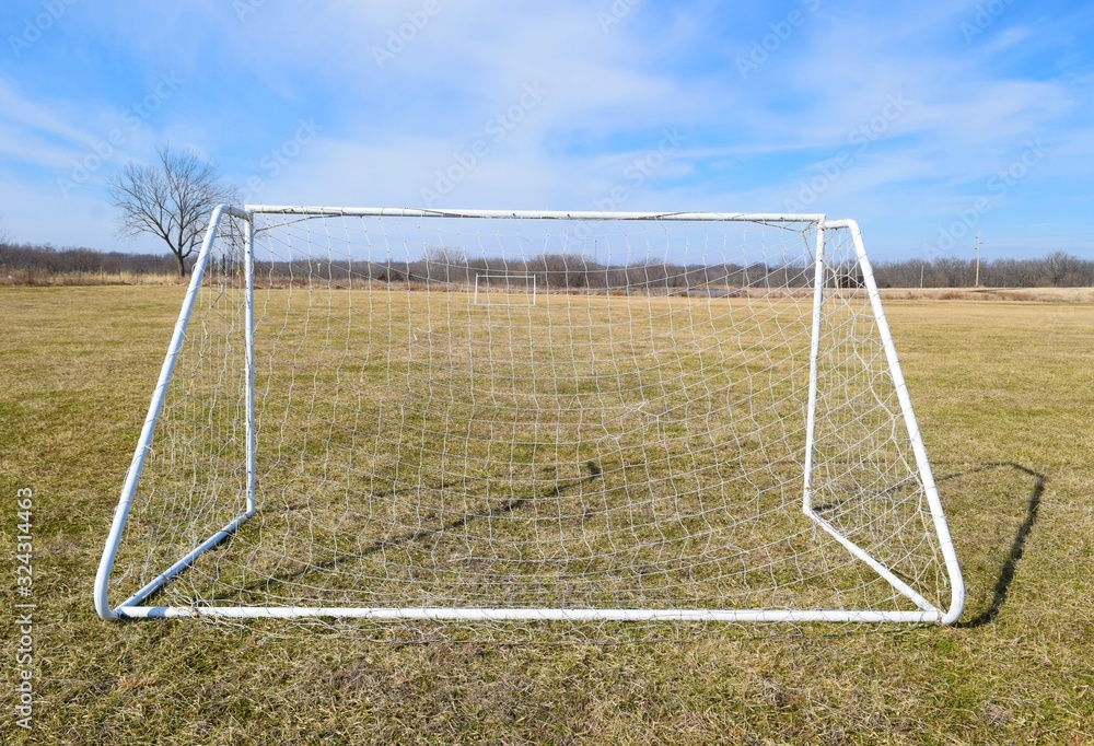 Wall mural soccer goal