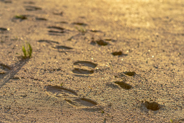 bootprint on the sand