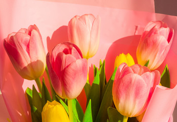 Background for a greeting card - a bouquet of fresh pink and yellow tulips