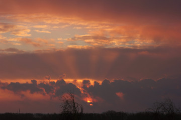 rays of the sun breaking through the clouds in a colorful dawn