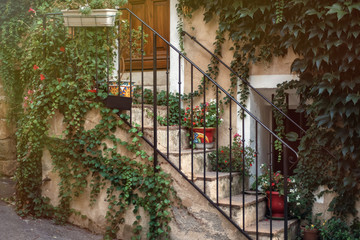 Fototapeta na wymiar Typical traditional porch with a lot of flower pots and ivy on stairs in one of the most beautiful villages of France Lourmarin, Provence. Travel tourism destination on Sud of France