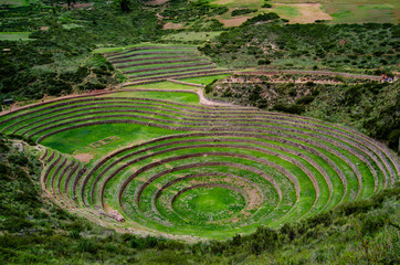 maze in garden Moray